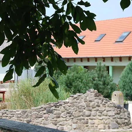 ゲストハウス Hegyalja Panzio Abaújszántó